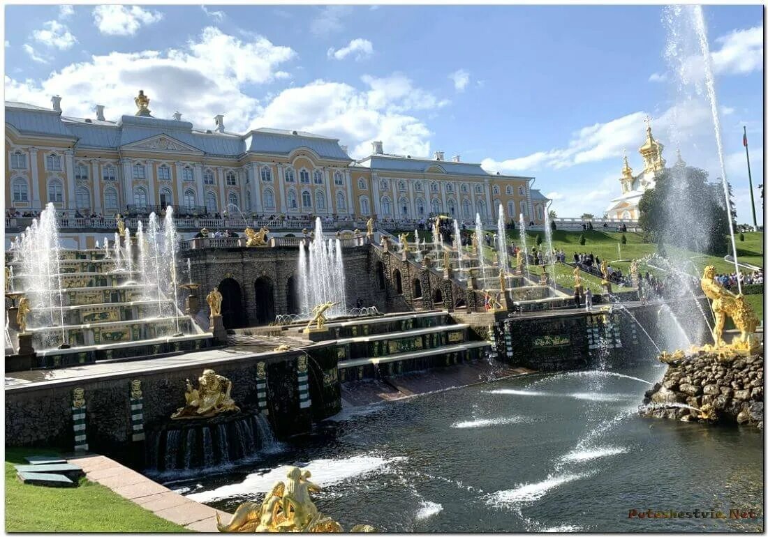 Пригороды Петербурга Петергоф. Заповедник Петергоф Санкт-Петербург экскурсии. Экскурсия по дворцам пригородов Петербурга Петергоф. Петергофпригород Санкт-Петербурга ставитсяпарквми и фонанами.