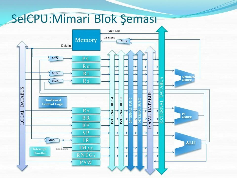 Sp databases. Sp databases