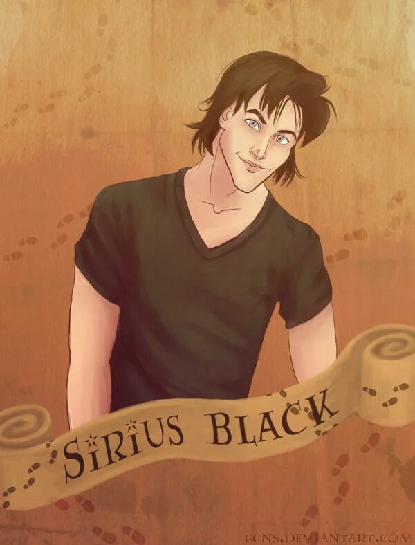 Sirius reader