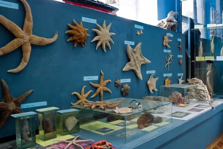 Шебекинский историко-художественный музей 2020. Морская выставка. Национальный морской музей national maritime museum. Морские экспозиции. Керчь музей океанографии.