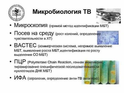 Микробиология расшифровка