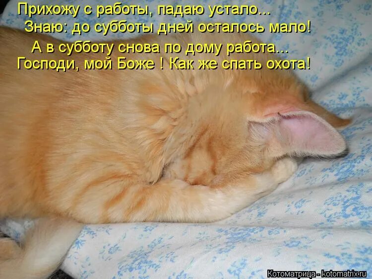 Я не хочу спать и не устаю. Открытки пришла с работы. открытка устала на работе. пришла с работы смешные. спать охота.