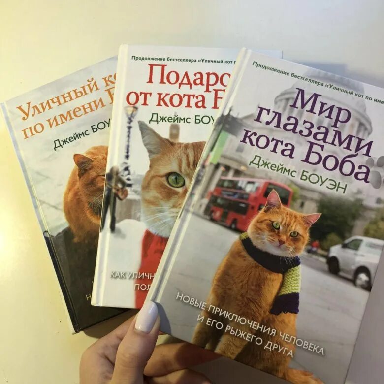 Книга про боба