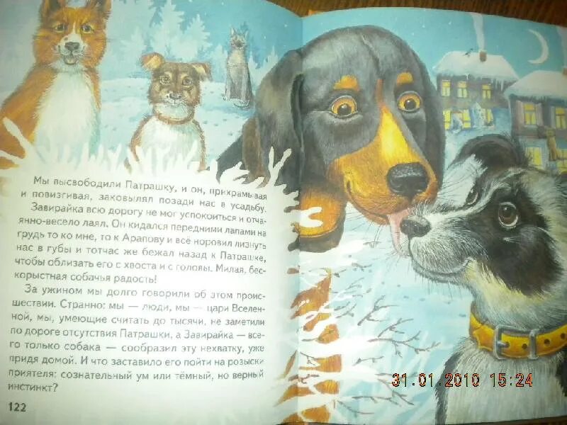 Собачье счастье содержание. Куприн завирайка иллюстрации. куприн завирайка. собачье счастье. куприн а.. собачье счастье куприн иллюстрации.