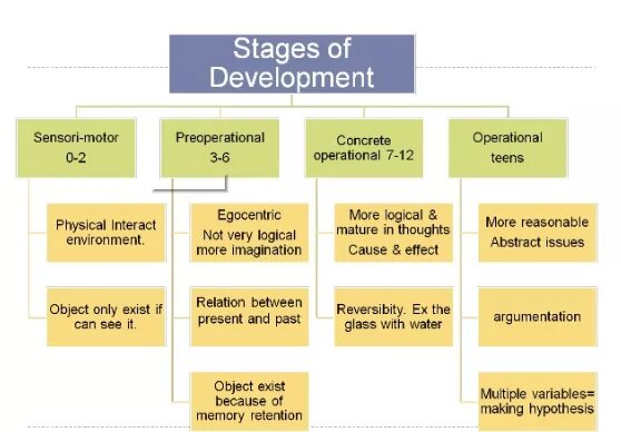 Stages of human development. Life cycle of organization. Stages of human development. 4 stages of cognitive development. Piaget cognitive development.