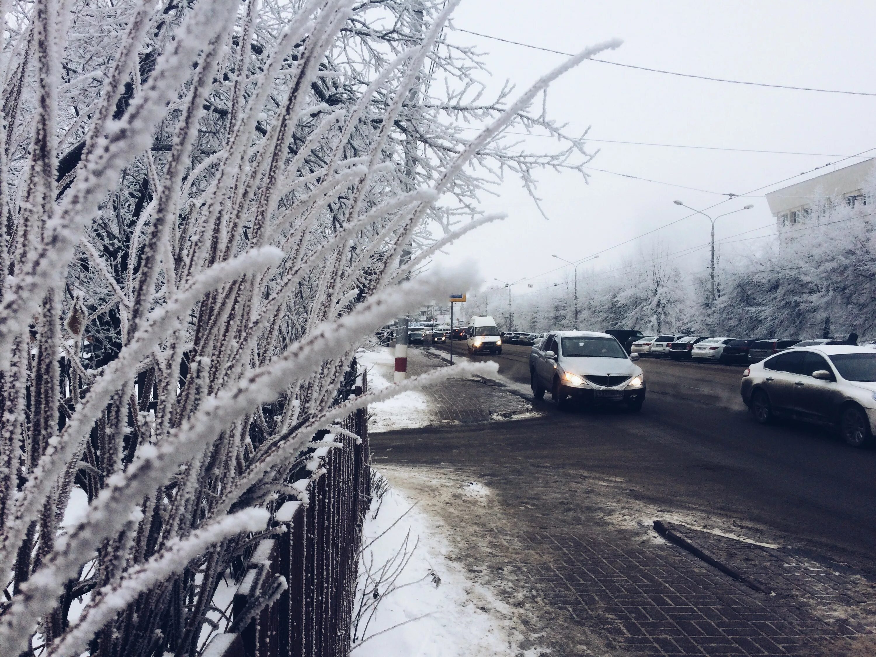 Дожди димитровград