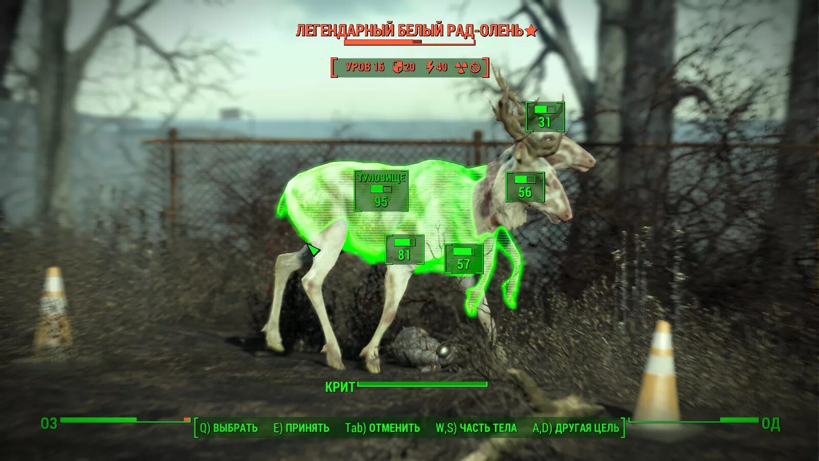 Олень арты. Лось альбинос вологодская область. Рад олень. Лось альбинос швеция. Рад олень.