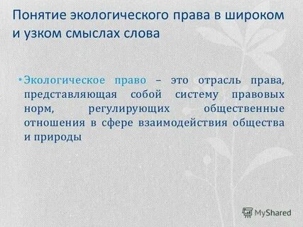 Норма в узком смысле