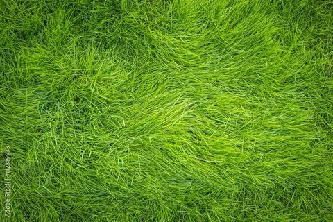 Grass на русском