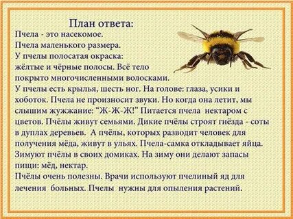 Рассказ про пчел 2 класс окружающий