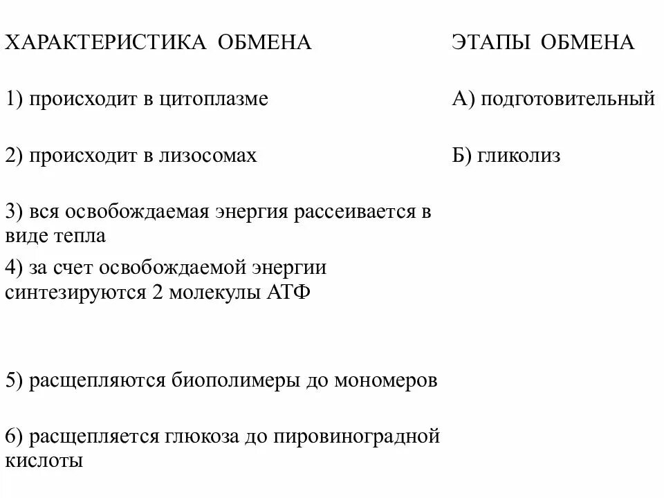 Общая характеристика обмена веществ и энергии. Промежуточный этап энергетического обмена. Этапы энергетического обмена кратко. Энергетический обмен этапы характеристика энергия таблица. Промежуточный этап энергетического обмена.