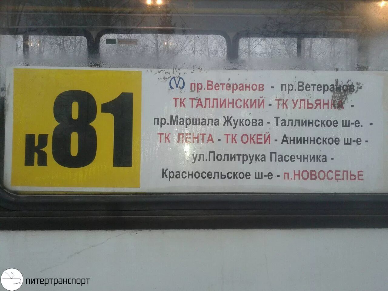 Остановки 85 автобуса спб. Маршрутки от метро проспект ветеранов. 81 Автобус Санкт-Петербург. Автобус 81 СПБ. Автобусы на проспекте ветеранов.