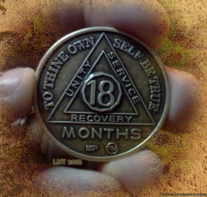 Анонимные наркоманы брелок на 2 года. Брелок анонимных наркозависимых. 8 лет чистоты и душевного покоя. Брелок анонимные алкоголики. Счётчик чистого времени.