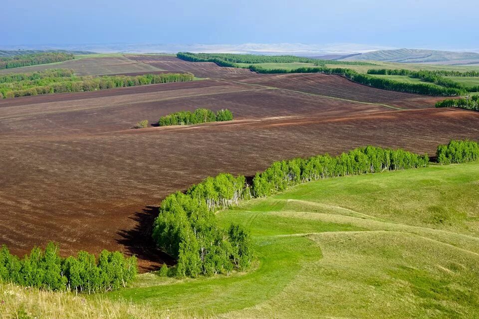 Оренбуржье фото. Равнины Оренбургской области. Буртинская степь Оренбургской области. Оренбург степи. «Оренбургские степи» (1893)..