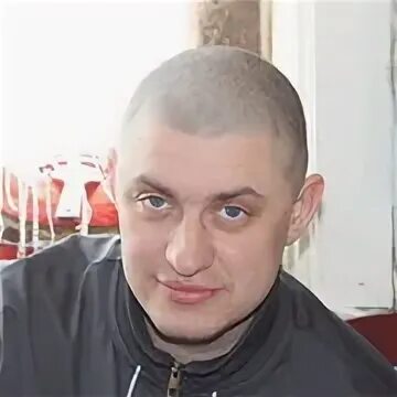 Дикий 41