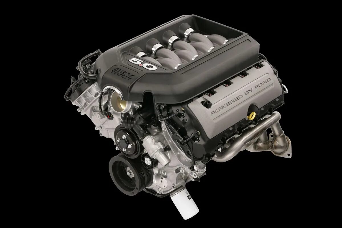 L v 8 8