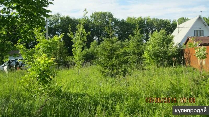 Сосновый бор воскресенский район. Участок снт сосновый. Снт сосновый-нижний массив пляж. Участок снт сосновый. Участок снт сосновый.