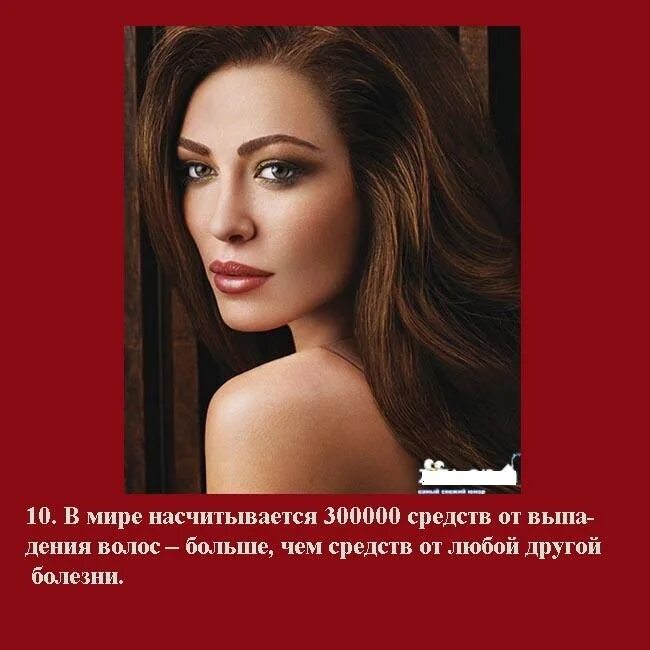 Интересные факты о прическах. Афоризмы про прическу. Красивые высказывания о волосах. Красивые фразы про волосы. Красивые волосы цитаты.