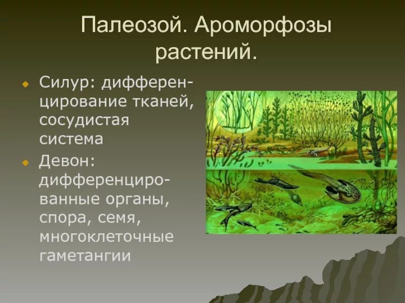 Ароморфозы эры палеозой. Ароморфозы растений силурийского периода. Силурийский период палеозойской эры. Девонский период палеозойской эры. Девонский период палеозойской эры животные и растения.