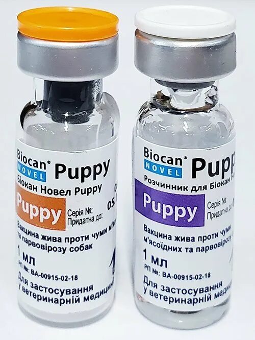 Биокан вакцина для собак. Биокан вакцина чехия. В. Биокан паппи. Биокан куда колоть собаке.