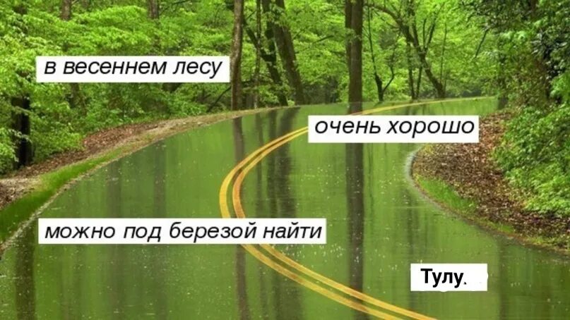 Можно под березой найти джаз. Весною в лесу очень хорошо можно под березой найти. весной в лесу очень хорошо можно под березой найти. можно под березой найти говно. весной очень хорошо можно под березой найти.