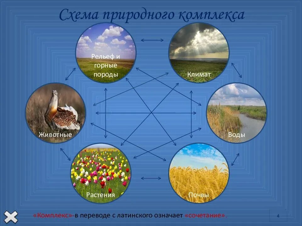Элементами природы являются. Схема природного комплекса. природно-территориальный комплекс. компоненты природы. компоненты природного комплекса.