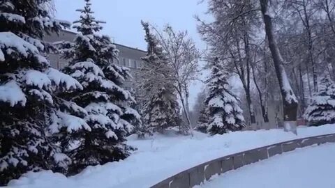 Погода в егорьевске осадки