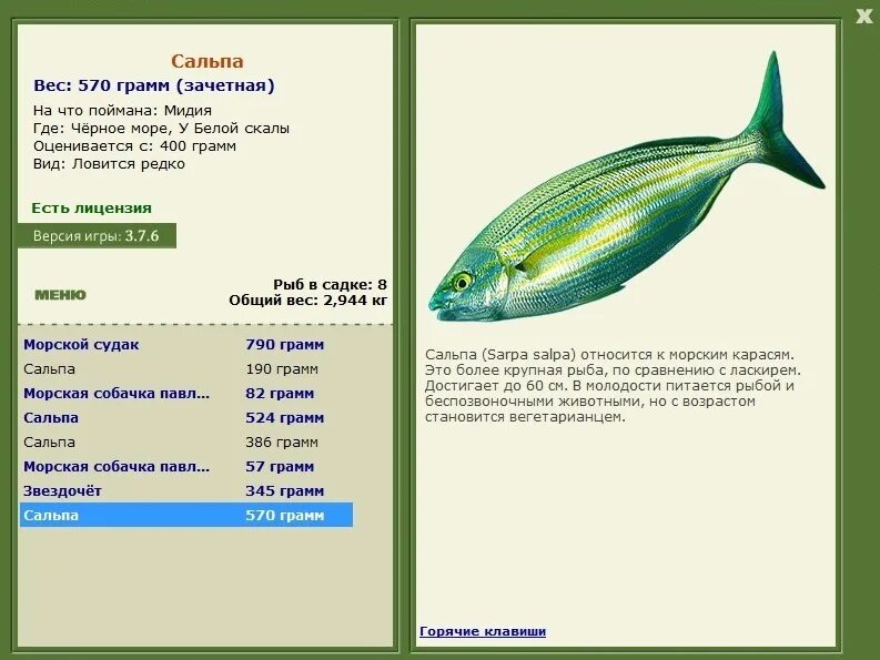 самые жирные сорта рыбы. сравнительная характеристика рыб и амфибий таблица. сравнить рыбу. строение костных рыб и хрящевых рыб. сравнить рыбу.