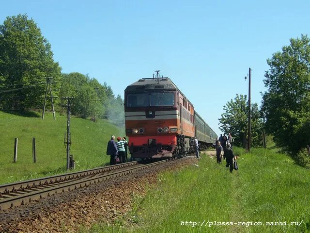 Луга псков км. Перегон луга 2 - луга 1. Луга железная дорога. Псковский поезд. Перегон луга 2 - луга 1.