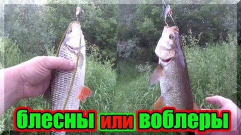 Привет лови новый вопрос фишинг