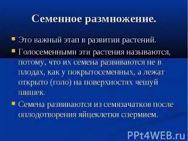 Каковы преимущества семенного размножения