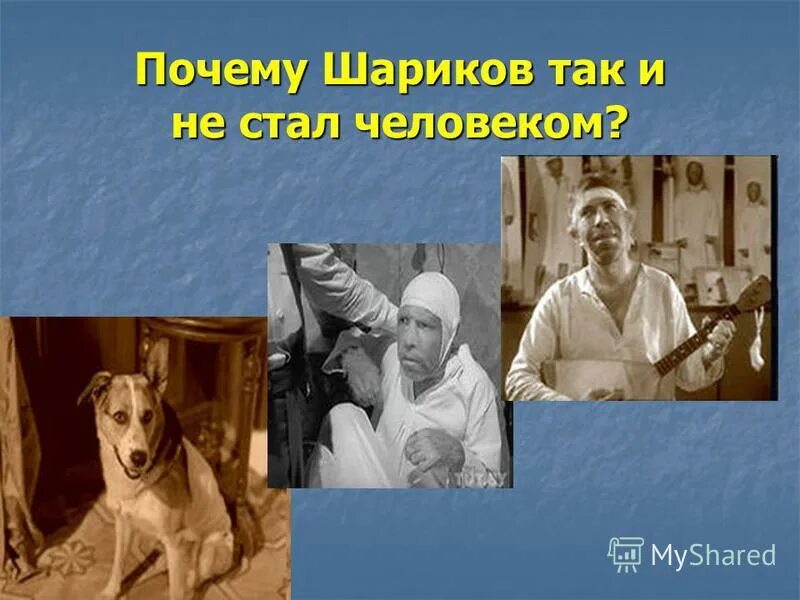 Почему шариков не стал человеком