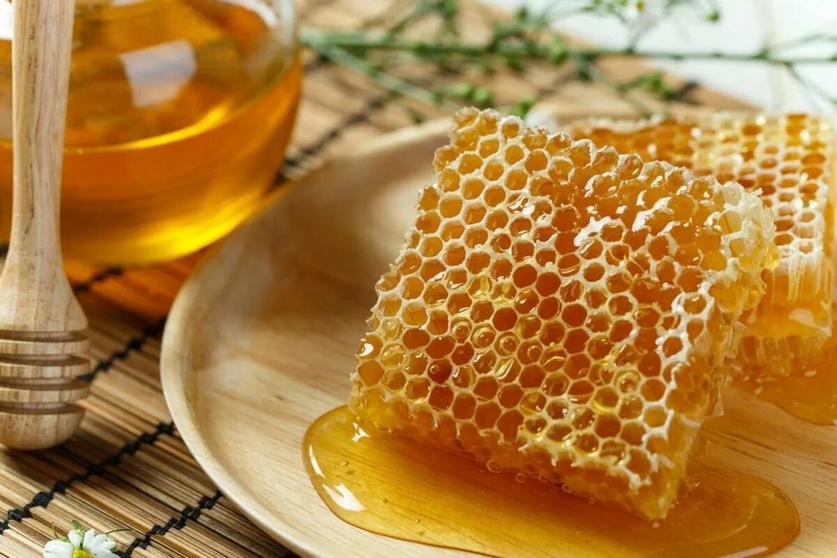 Соты пчелиные. Мёд в сотах. Медовые соты. Пчелиный воск в сотах.
