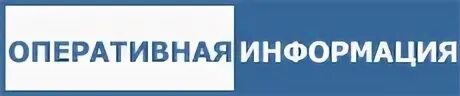 Оперативная информация морской. Оперативная информация морской