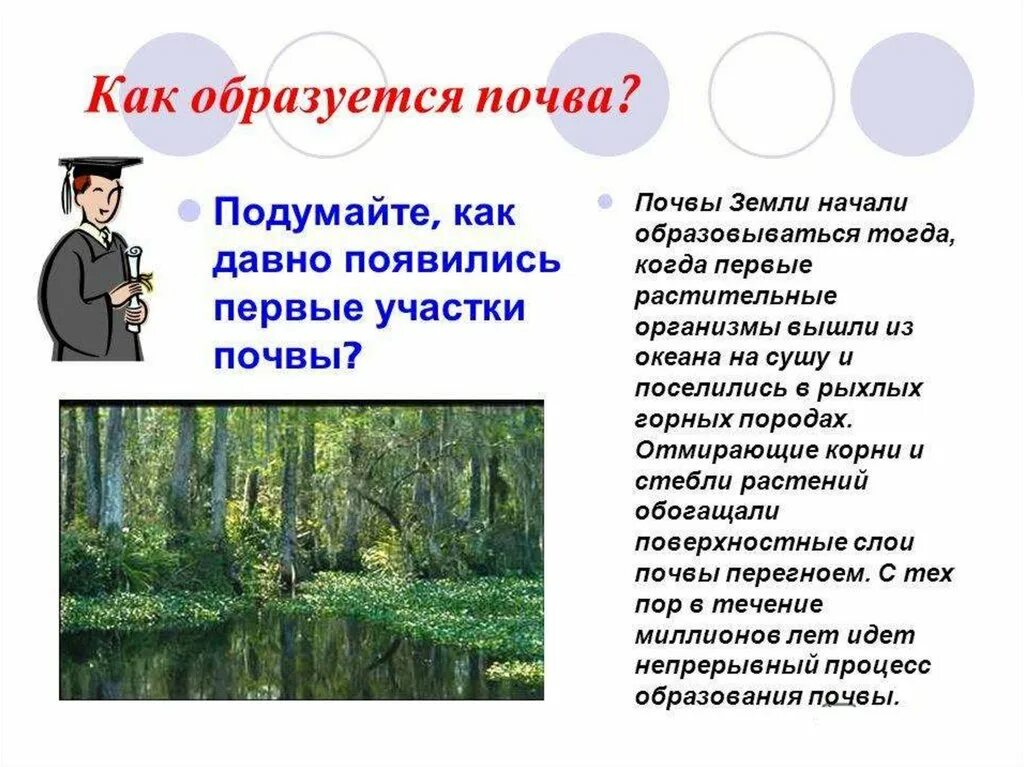 Почвы презентация 6 класс. Почва презентация 6 класс география. География 6 класс тема почвы. Презентация на тему почва 2 класс. Почва 6 класс география презентация полярная звезда