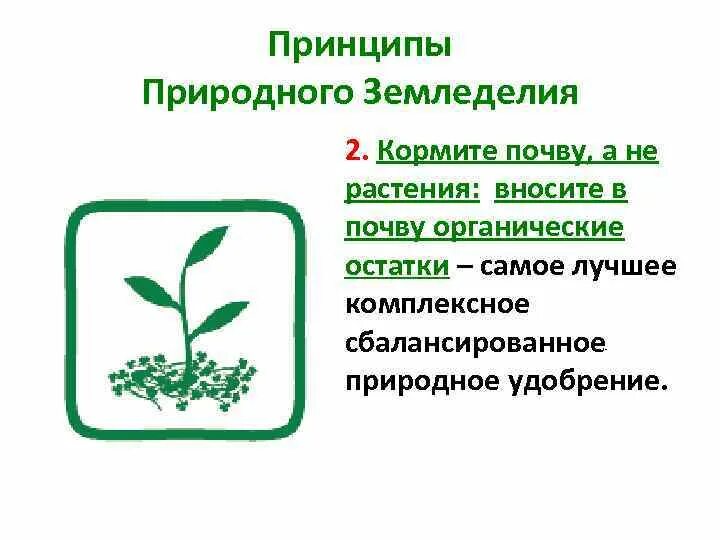 Природное земледелие и микробиологии. Природное земледелие и микробиологии