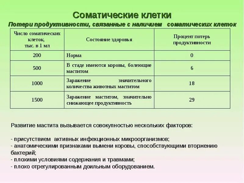 Содержание соматических клеток. Соматические клетки в молоке. показатели соматических клеток в молоке. норма соматических клеток в коровьем молоке. таблица соматических клеток молока.