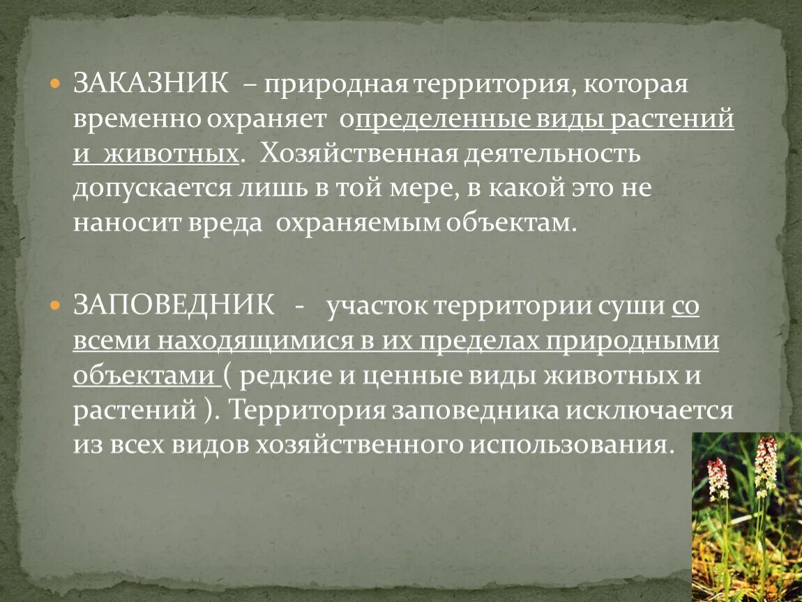 Значение в природе и хозяйственной деятельности человека. Хозяйственная деятельность заказников. Виды заказников. Влияние хозяйственной деятельности человека на растительный. Мероприятия по охране растений.