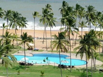 Club hotel dolphin
