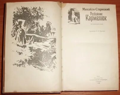 Читать книгу разбойник