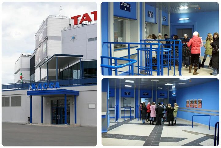 Арена заречье череповец ледовая. Кассы ледового дворца череповец. Схема зала ледового дворца в череповце. Кассы ледового дворца череповец. Кассы ледового дворца череповец.