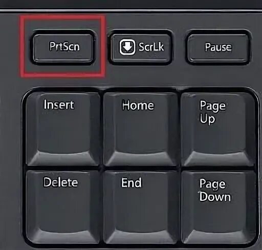 Как отключить numlock на клавиатуре. Кнопка home на клавиатуре. кнопка end. scroll lock unturned. что умеет scroll lock.