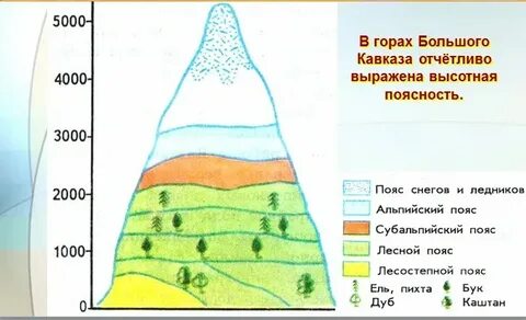 Природные зоны на горах