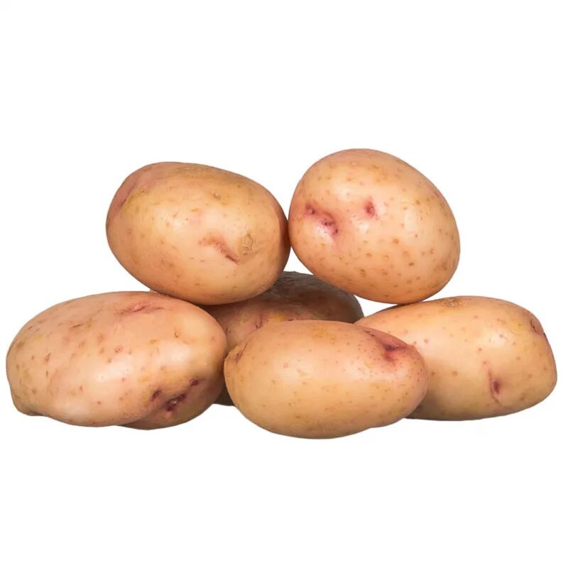 Посадка синеглазки картофель. Сорт картофеля Синеглазка (Ганнибал). Сорт картофеля Синеглазка. Сорт картошки Синеглазка. Сорт картофеля Ганнибал.