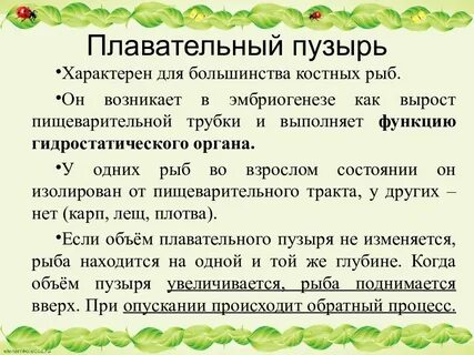 У кого есть плавательный пузырь