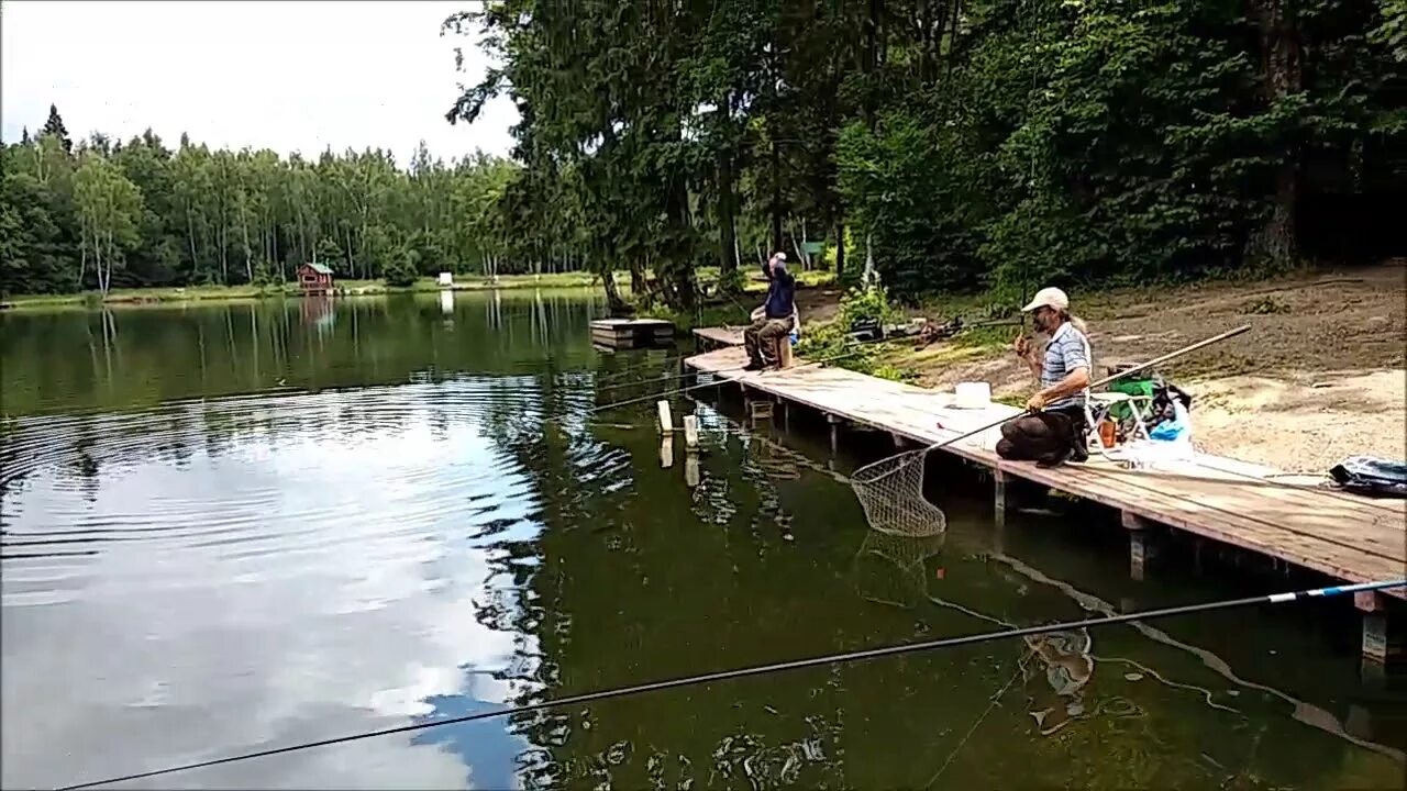 Клевым местам видео. Рыбалка клёвое место Лосиный остров. Платная рыбалка Лосиный остров. Клевое место гостиница Лосиный остров. Платные пруды «клевое место».