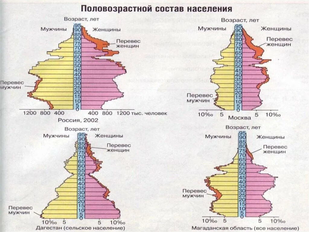 География наш демографический портрет кратко. Половозрастная пирамида Тульской области. Половозрастные пирамиды регионов России. Половозрастная пирамида субъектов России. Половозрастная пирамида населения России 8 класс.