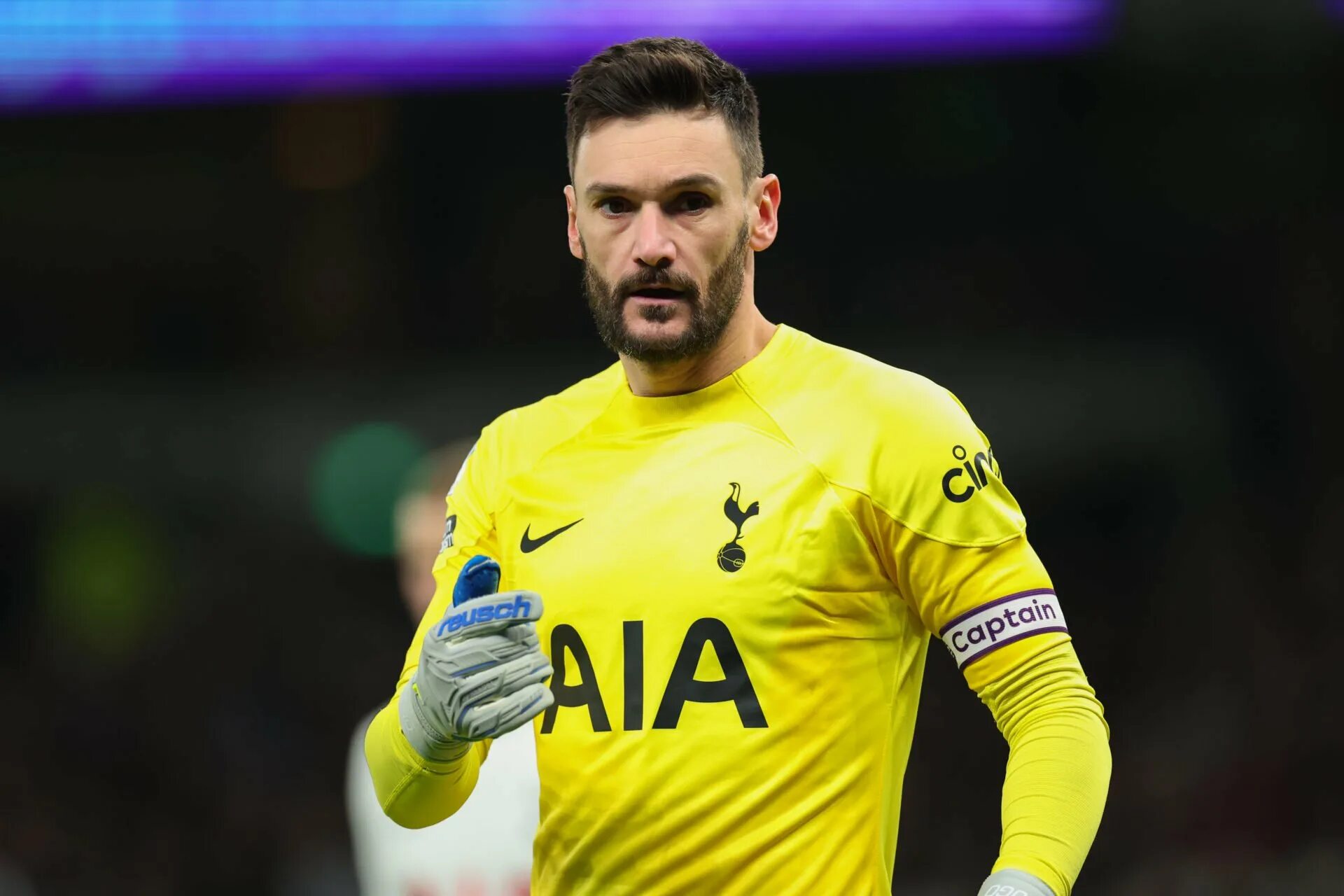 Lori s. Lloris. льорис. hugo lloris. топ вратарей.