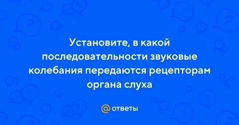 Последовательность звуковых колебаний к рецепторам органа