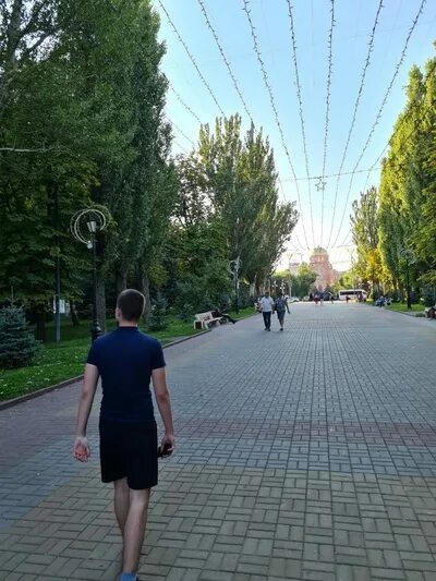 Д д голубятников. Д д голубятников